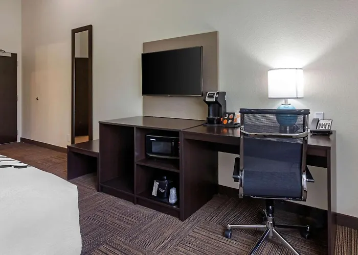 Sleep Inn & Suites Tampa South